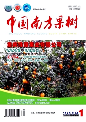 中国南方果树
