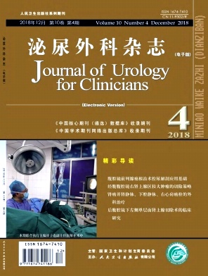 泌尿外科杂志(电子版)