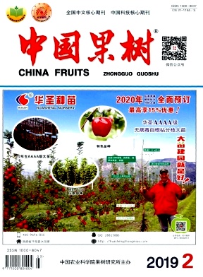 中国果树